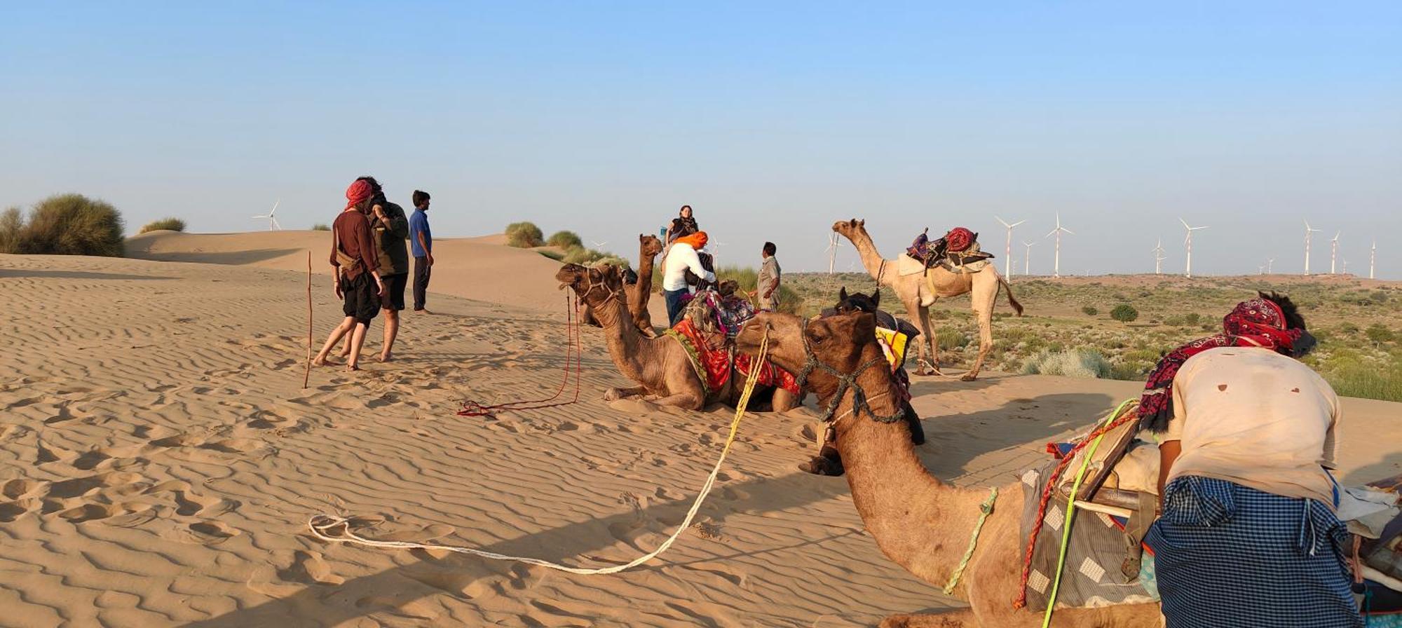 Nomadic Backpackers Hostel Jaisalmer Exteriör bild